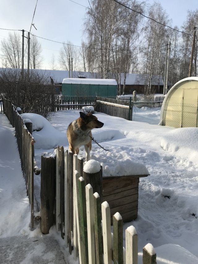 Territory