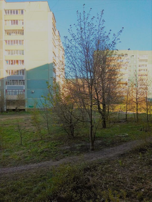 Territory