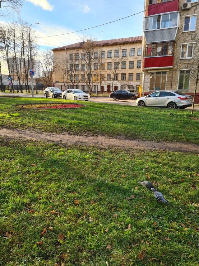 Territory