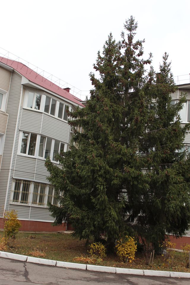 Панорама дома