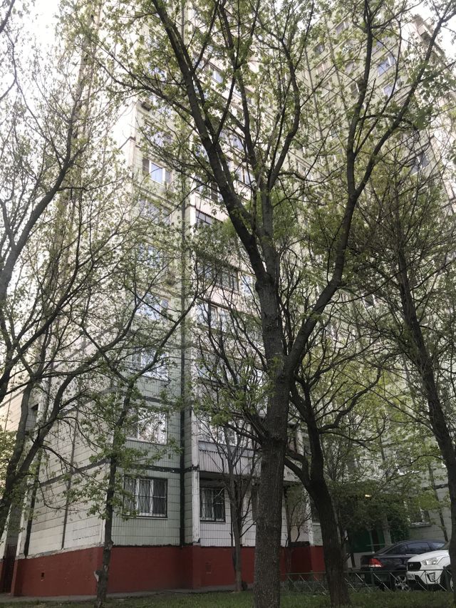 Панорама дома