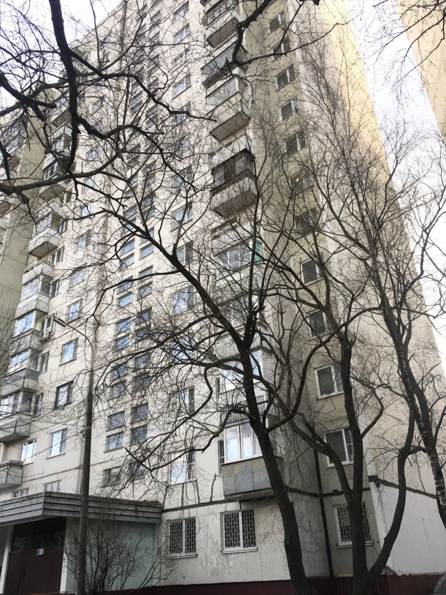 Панорама дома