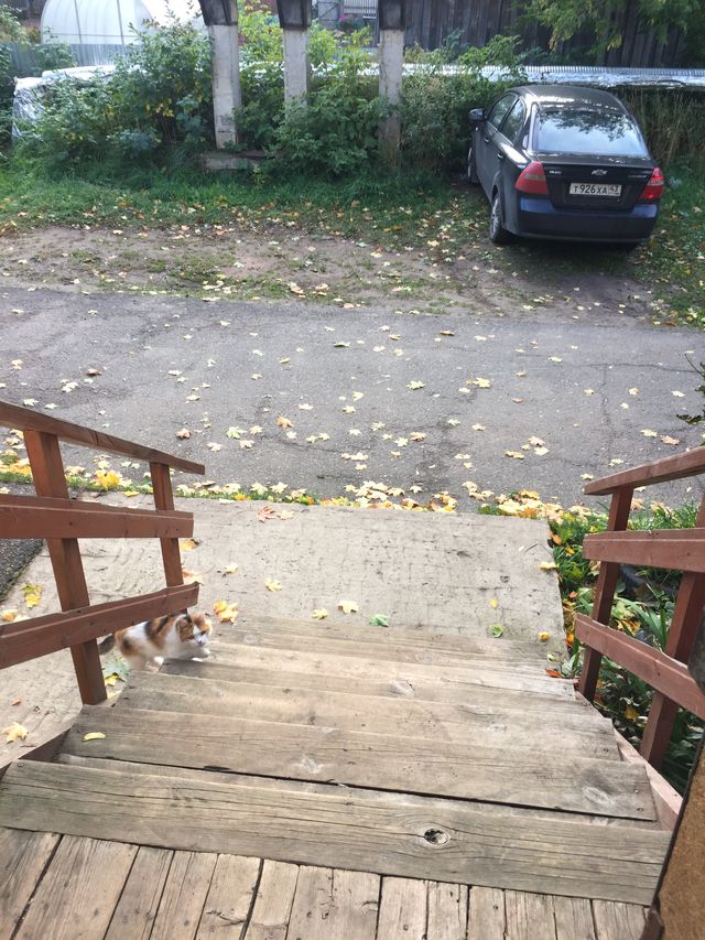 фото дома