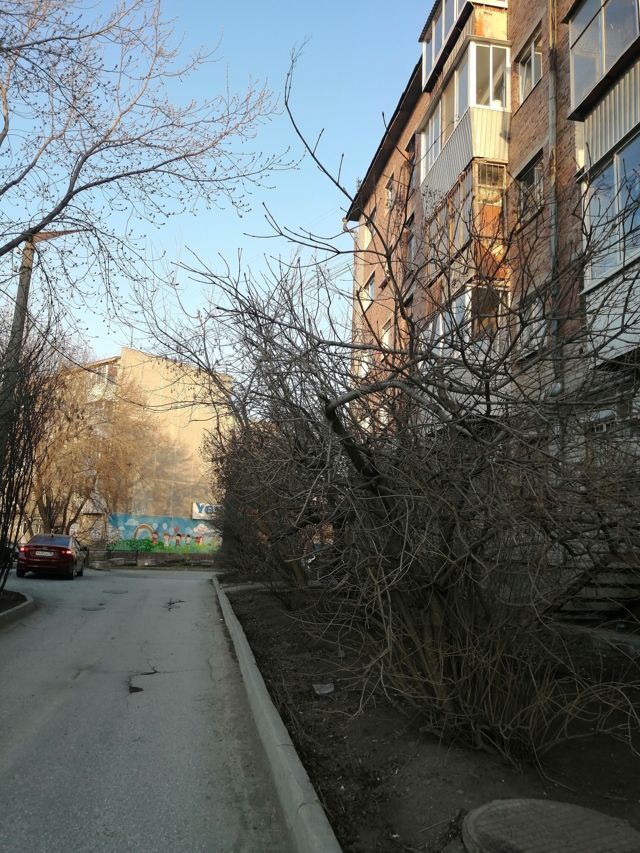 Territory