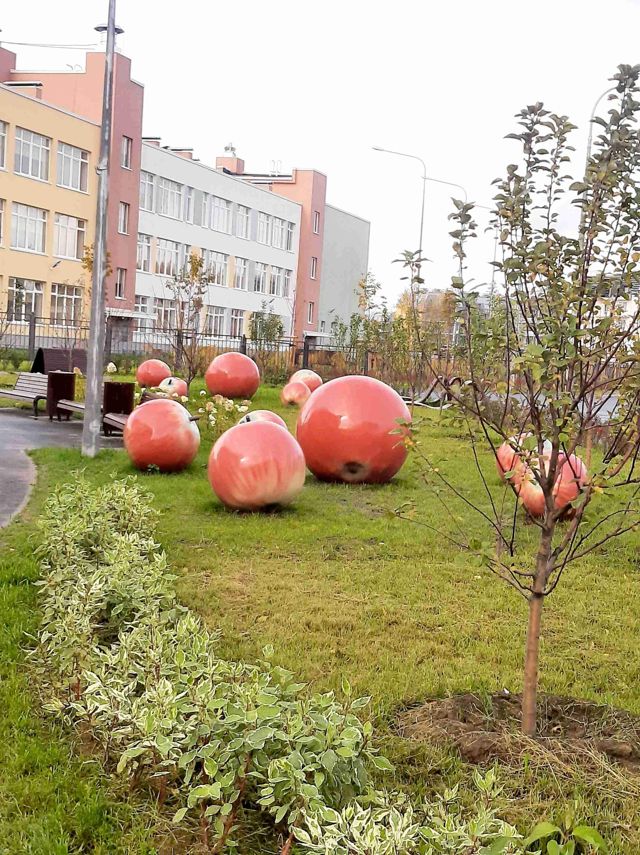фото дома