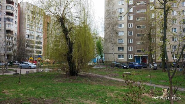 Territory