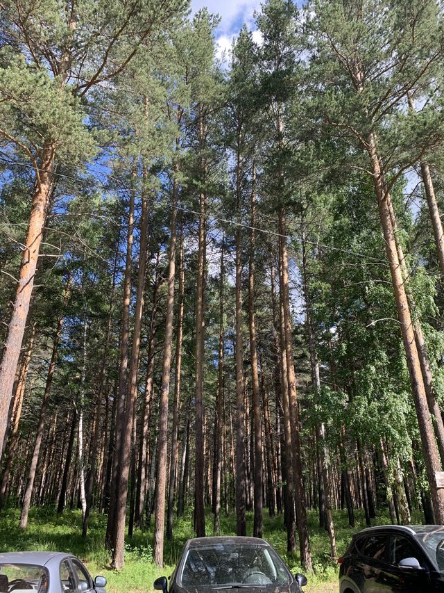 Панорама дома