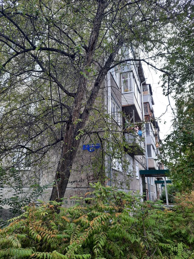 Панорама дома