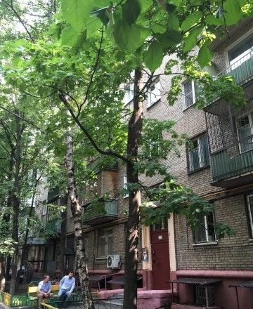 Панорама дома