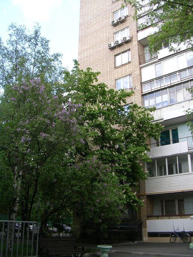 фото дома