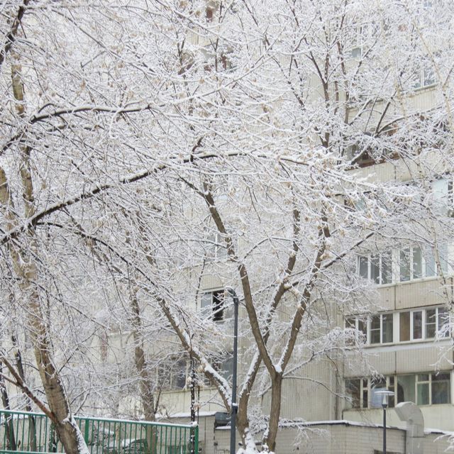 Панорама дома