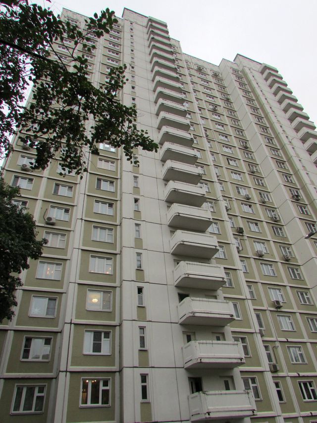 Панорама дома