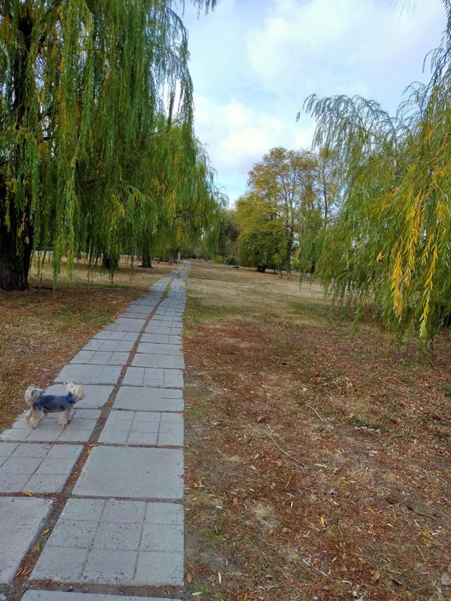 Territory