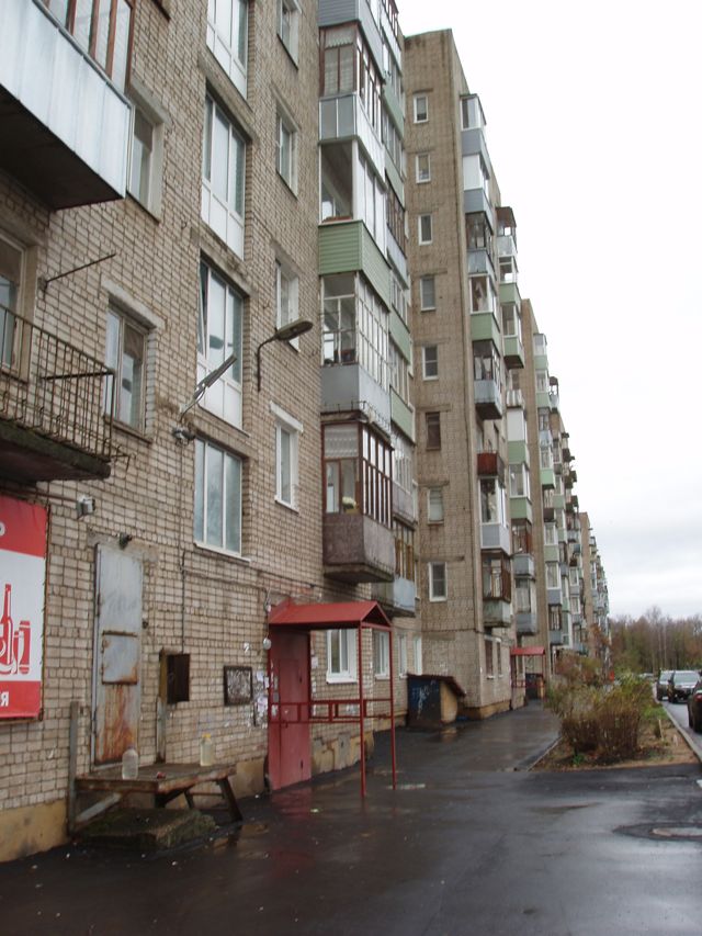 Панорама дома