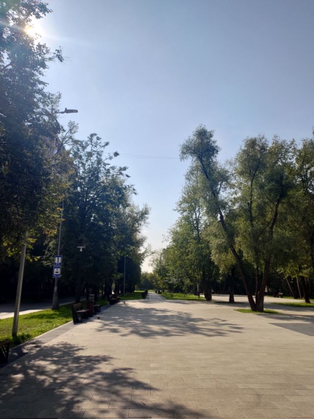 Territory