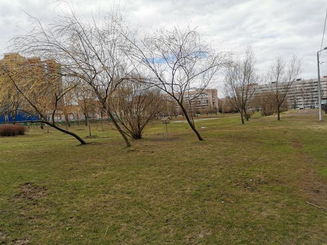 Territory