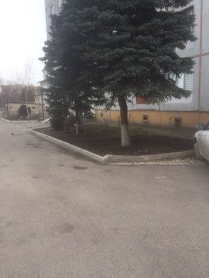 Territory