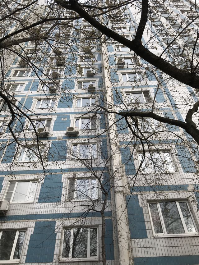 Панорама дома