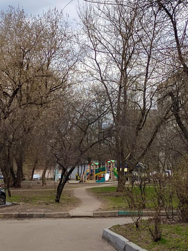 Панорама дома