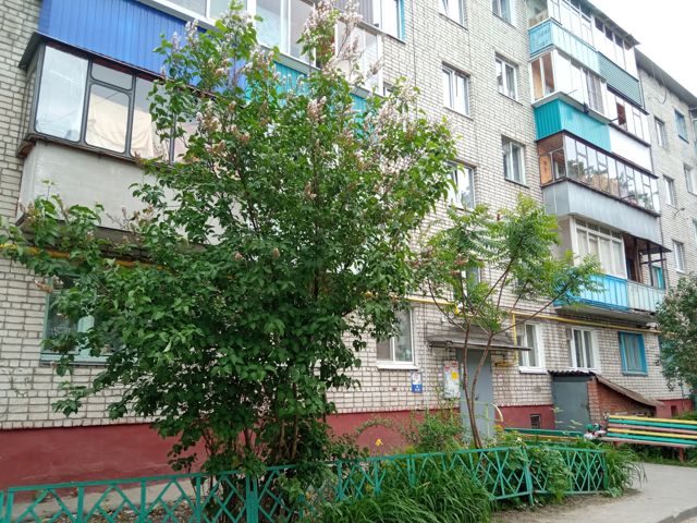 Панорама дома