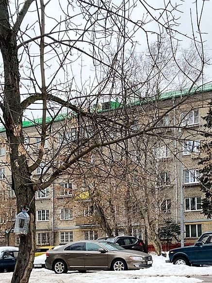 Панорама дома