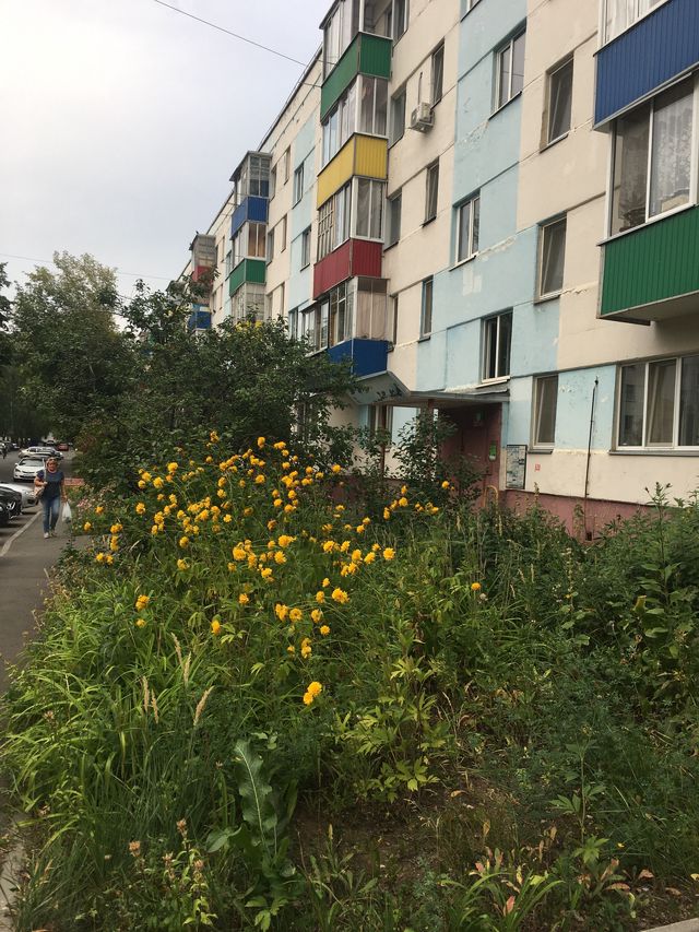 Панорама дома