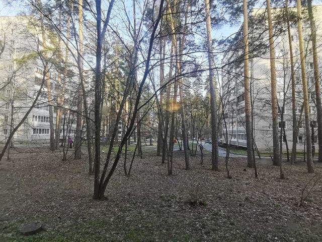 Territory