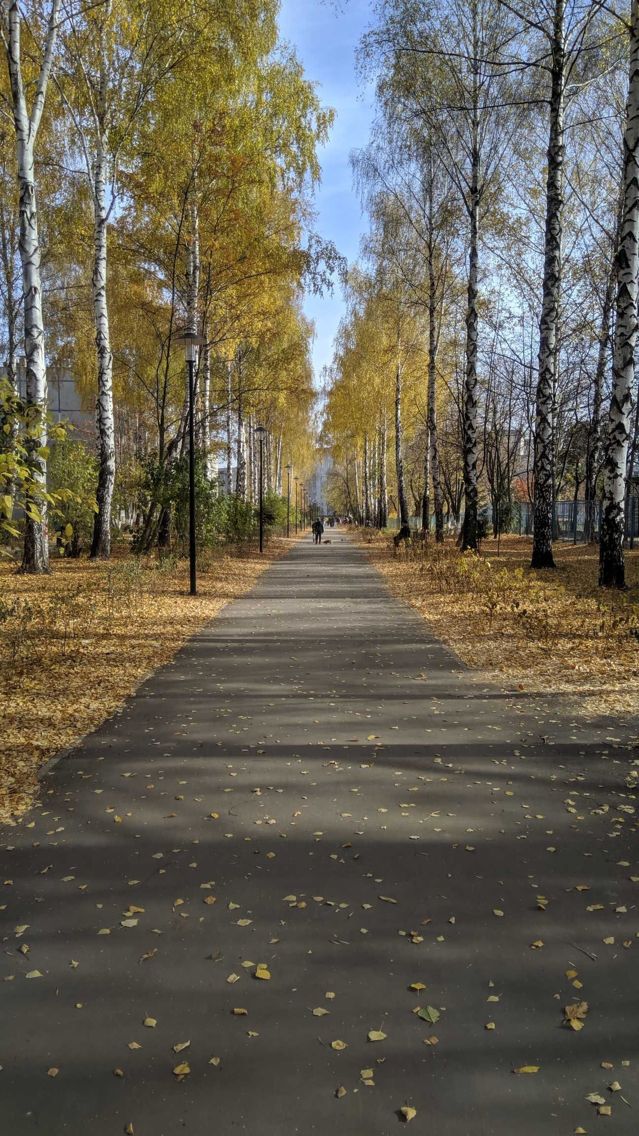 Territory