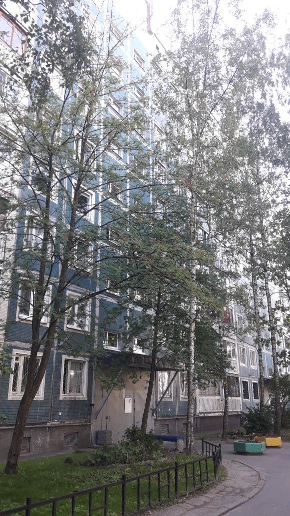 Панорама дома