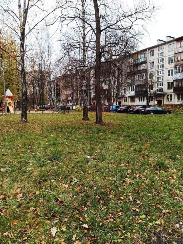 Territory
