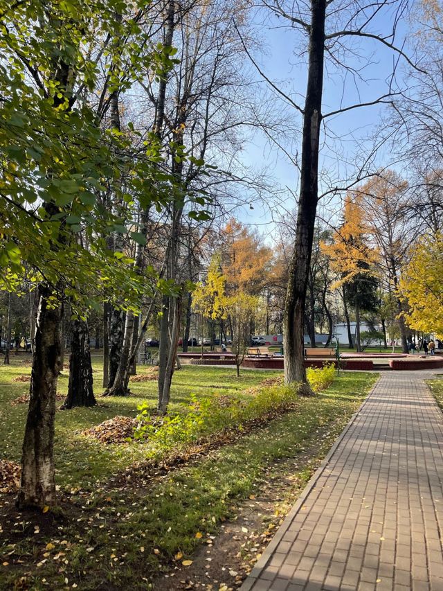 Territory