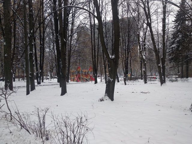 Territory