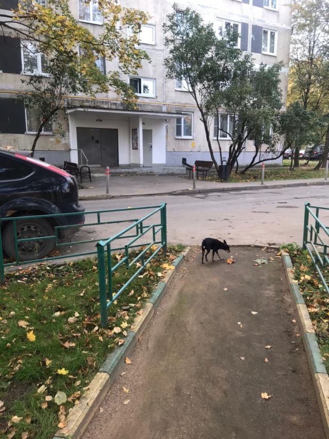 Territory