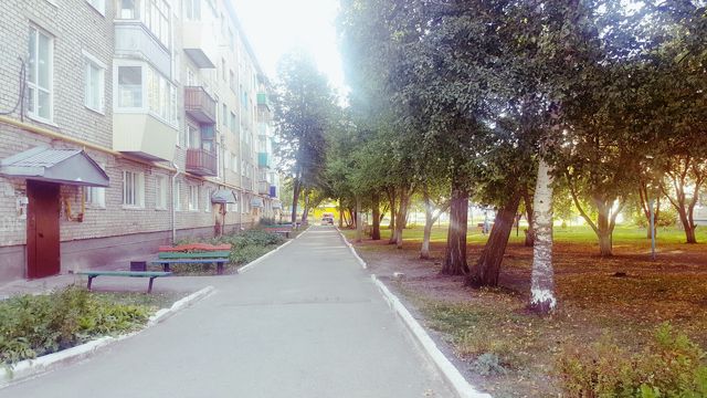 Territory