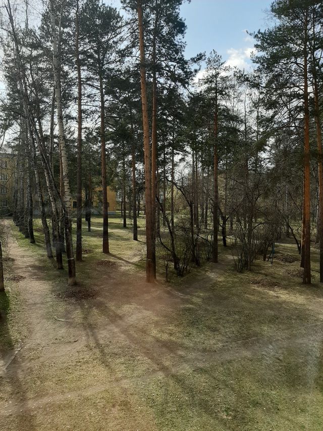 Territory