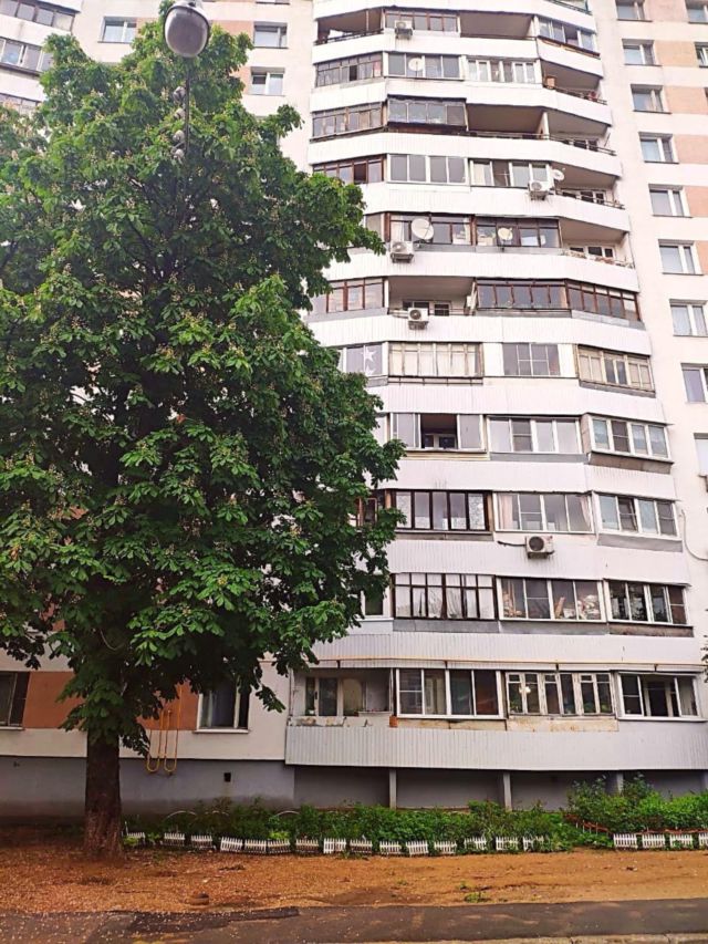 Панорама дома