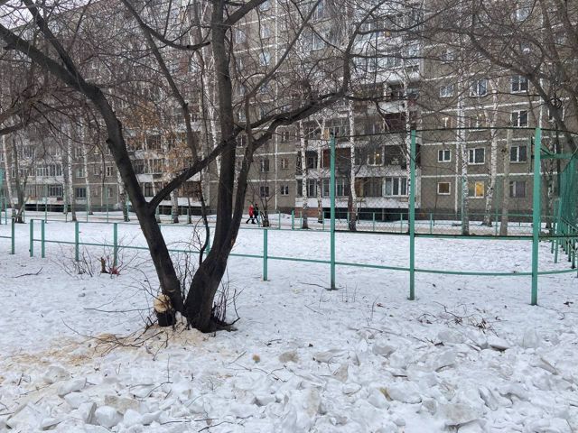 Territory
