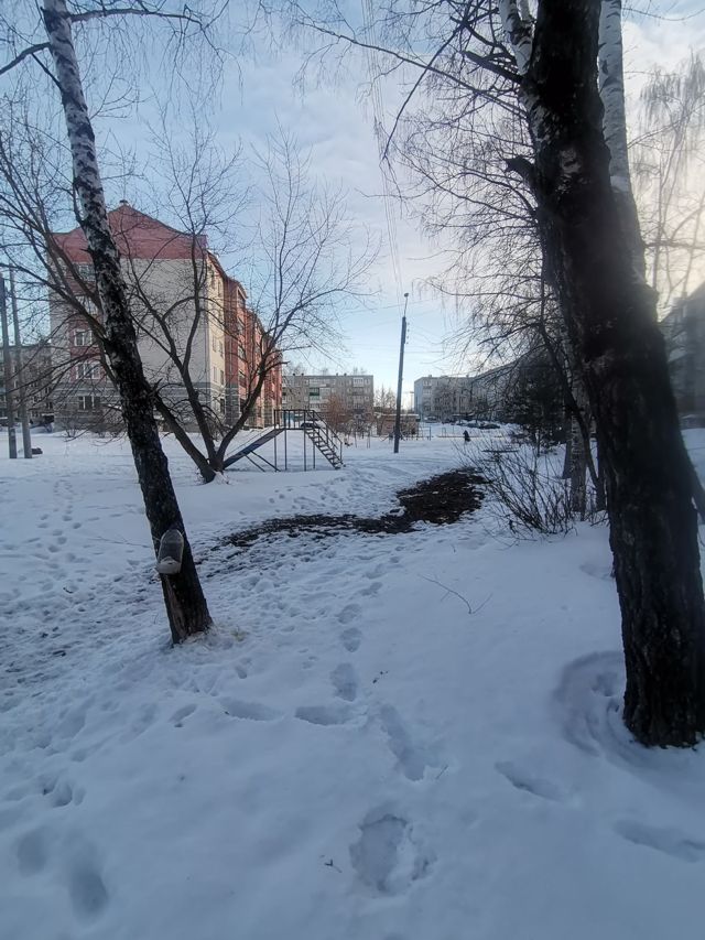 Territory