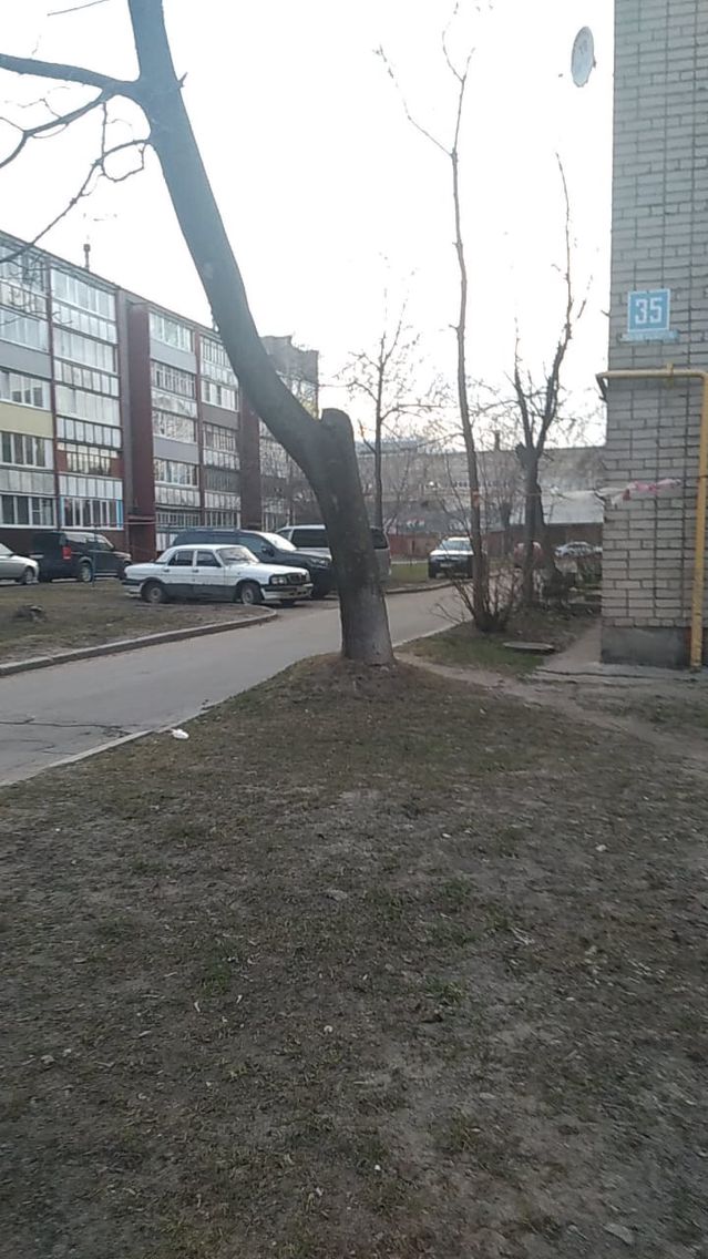 Territory