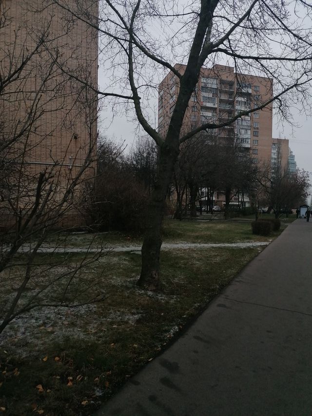 Territory