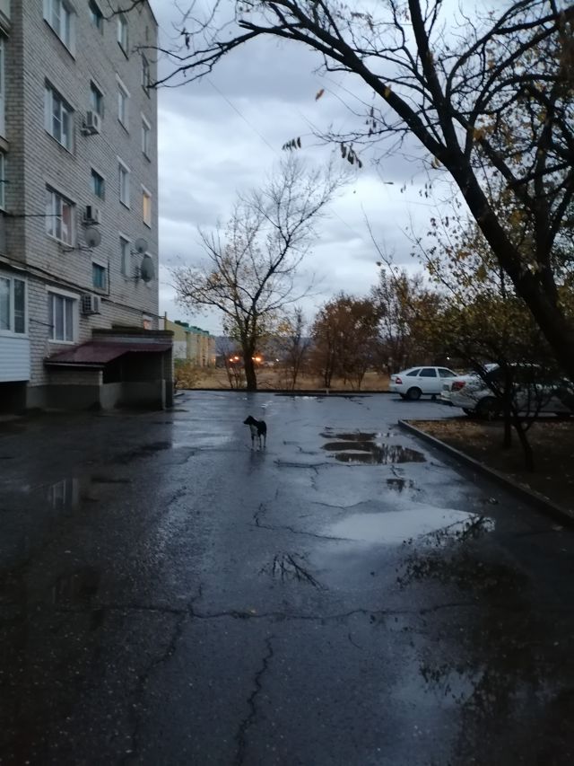 Territory