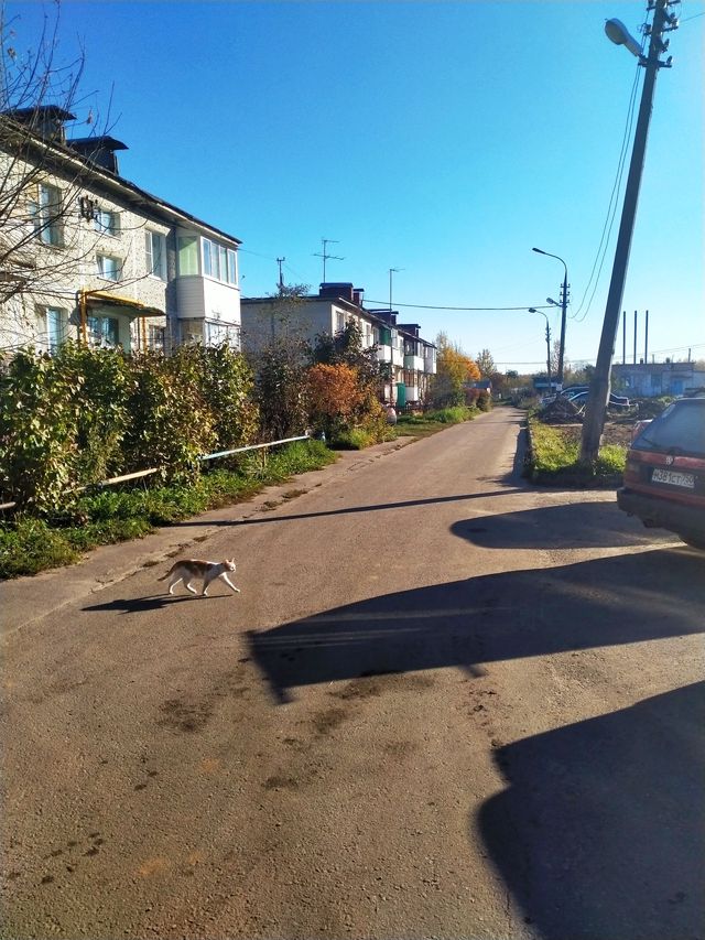 Territory