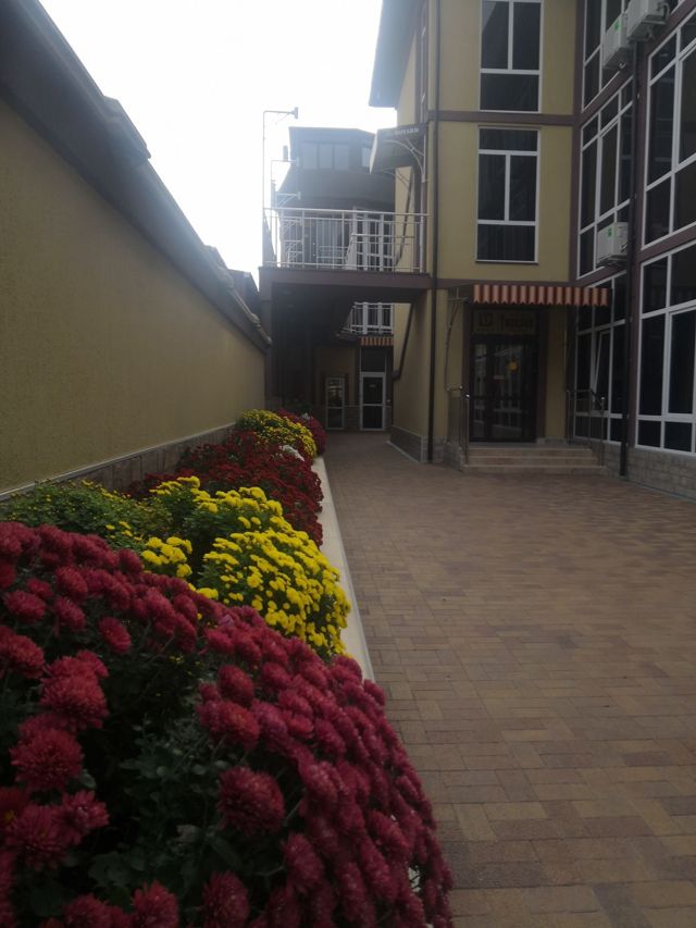 Панорама дома