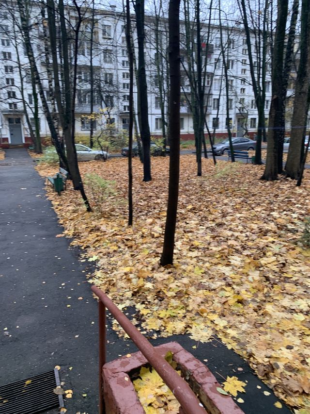 Territory