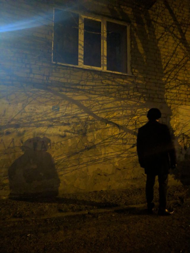 Панорама дома