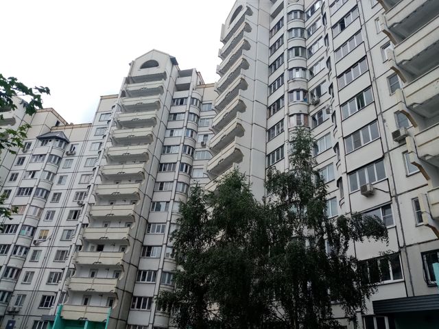 Панорама дома