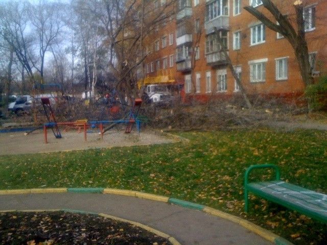 Territory