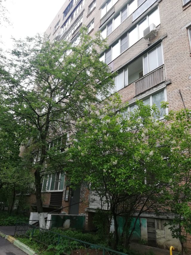 Панорама дома