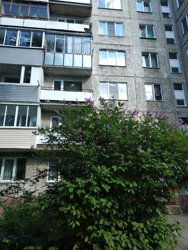 Панорама дома