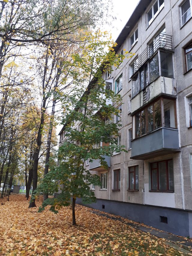 Панорама дома